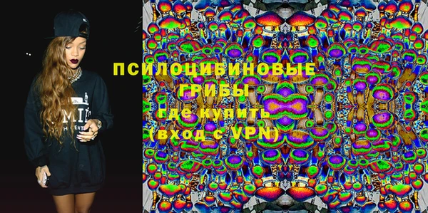 шишки Балабаново